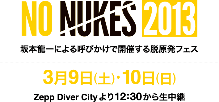 NO NUKES 2013