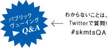 パブリックヴューイングQ&A - #skmtsQA